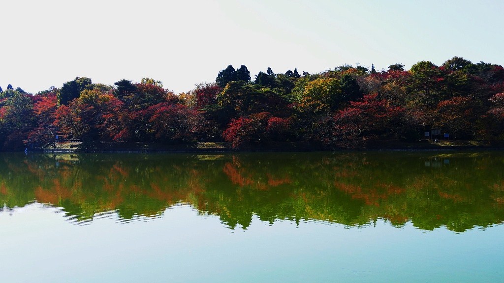 P1160712　水鏡＠郡山市五百渕