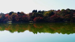 P1160712　水鏡＠郡山市五百渕