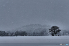 本日、吹雪なり ４