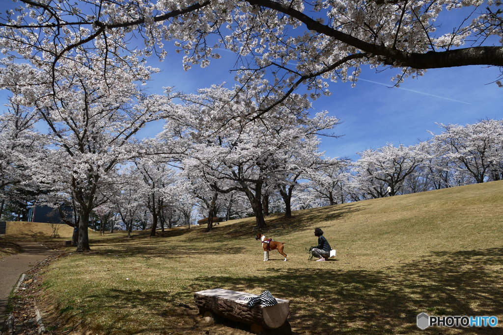 逢瀬公園