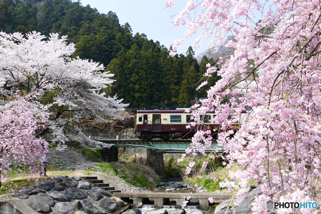 渡良瀬渓谷鉄道