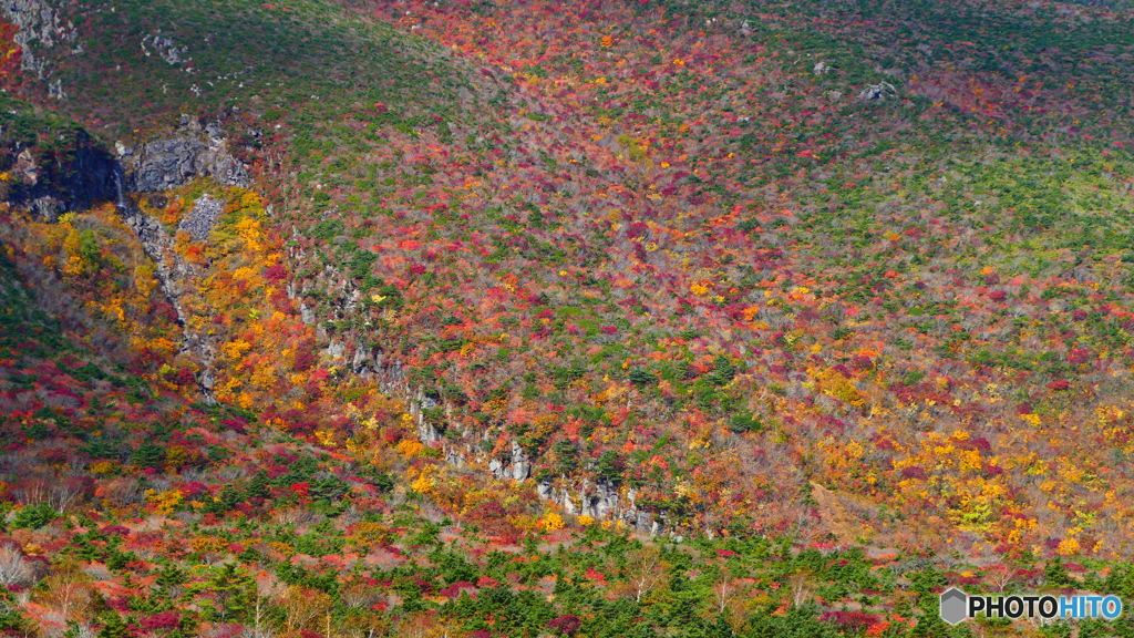 晴れるのが遅かったか…