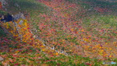 晴れるのが遅かったか…