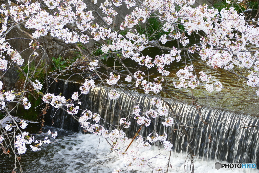 何気ない春