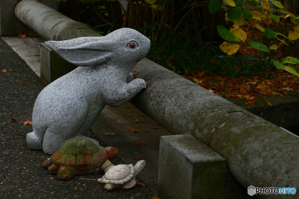 戦い終えて何を見つめる