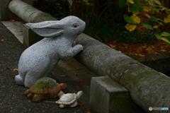 戦い終えて何を見つめる