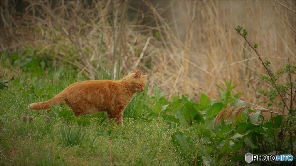 何を狙ってるの？