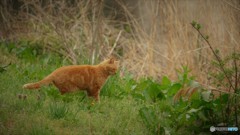 何を狙ってるの？