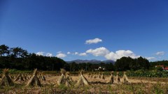 P1150223　安達太良連峰