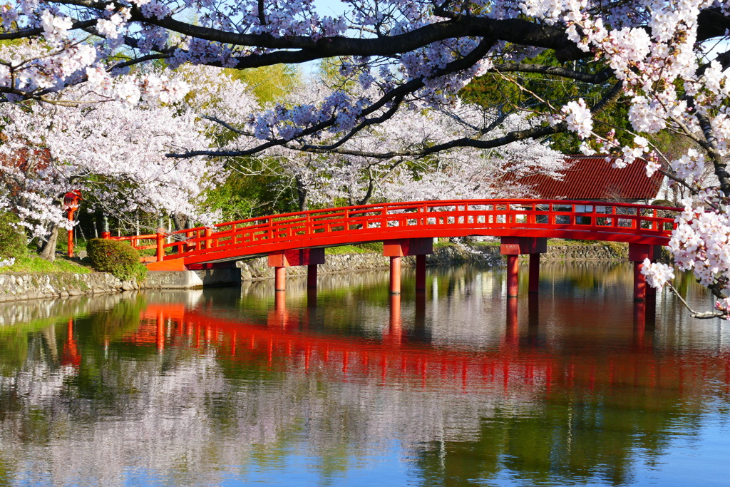 涼ヶ岡八幡神社 その２