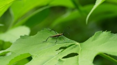 さて！飛ぶかな・・・