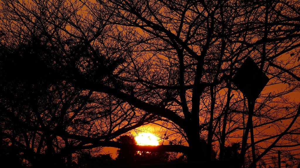 P1160041　＠ひたちなか海浜公園