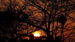 P1160041　＠ひたちなか海浜公園