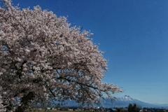 遠く磐梯山