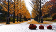 P1170292　@福島市あづま運動公園