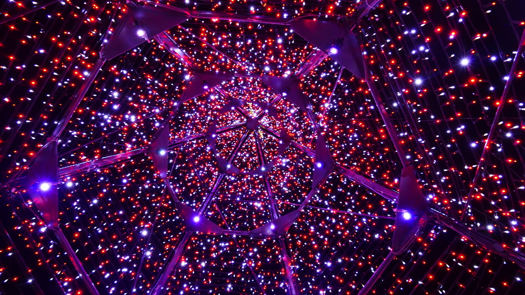 @足利フラワーパーク