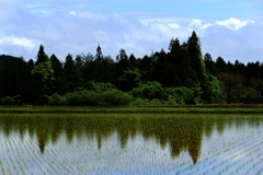 田植え終わりて