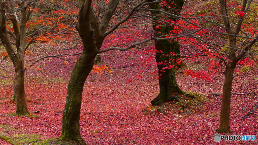 晩秋の草木湖 ３
