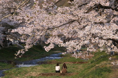 観音寺川②