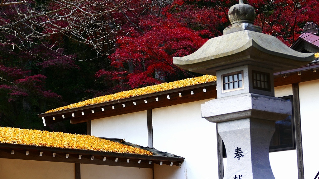 P1170186　@白河市南湖公園