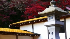 P1170186　@白河市南湖公園