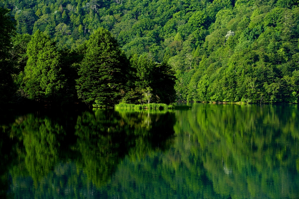 夏のリフレクション１