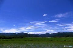 青い空