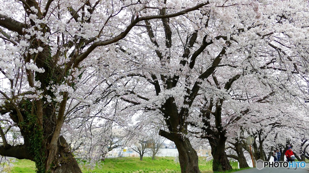逢瀬の川べり３