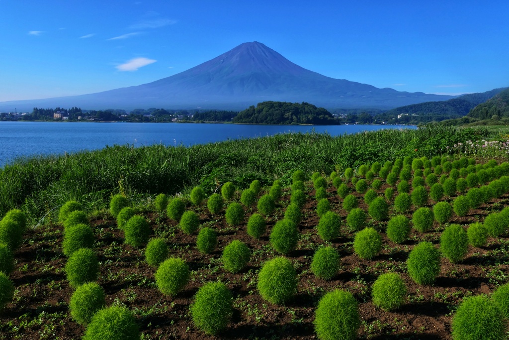 富士山プラスワン