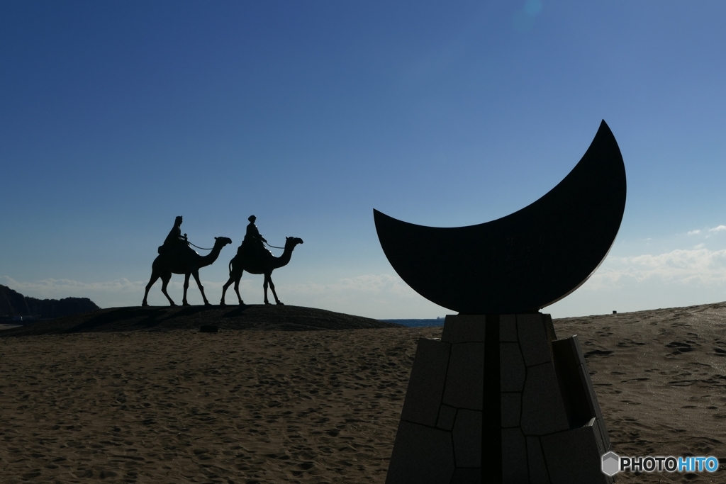 月と駱駝