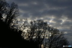 どんよりモーニング １