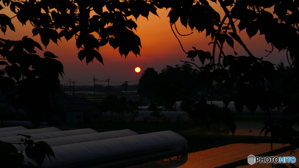 今日は暑くなりそうだ…