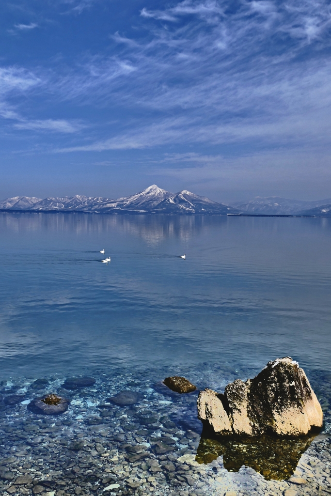 猪苗代湖と磐梯山と白鳥
