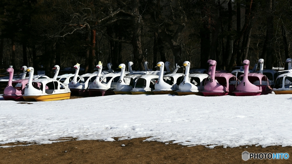 1210015@猪苗代湖