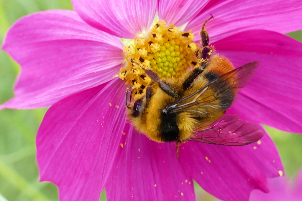 抱きしめちゃう