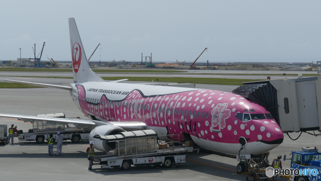 ジンベイザメバージョン