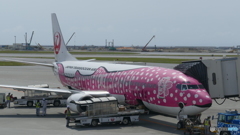 ジンベイザメバージョン