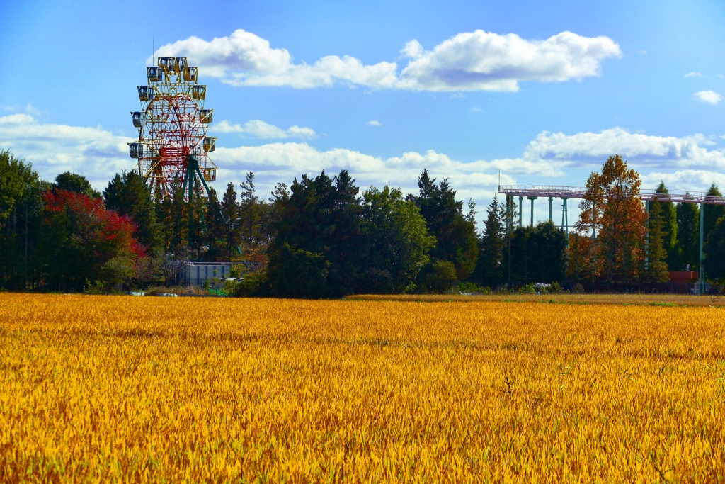 秋色遊園地