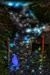 光る川③
