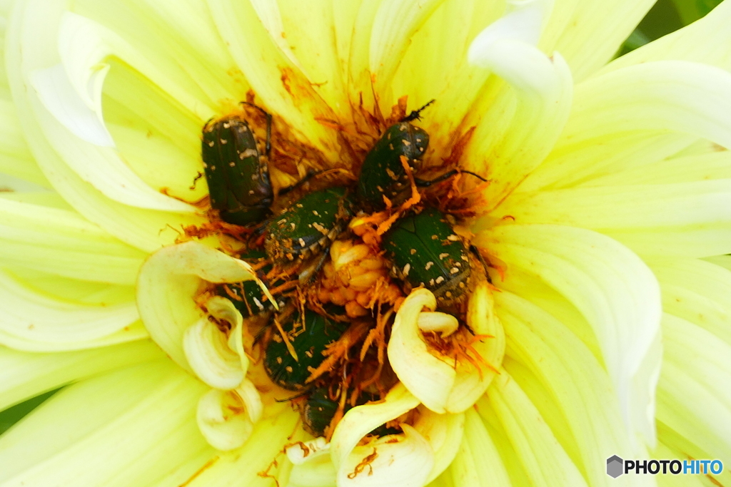 ムグリ過ぎでしょ(笑)