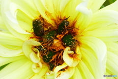 ムグリ過ぎでしょ(笑)