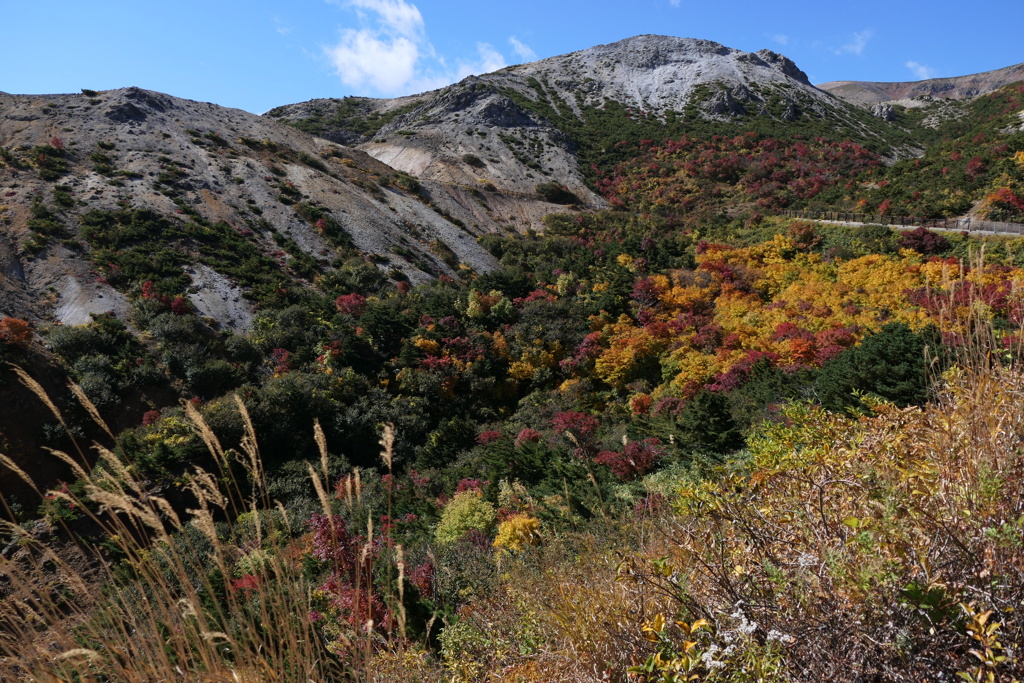 磐梯吾妻スカイライン４