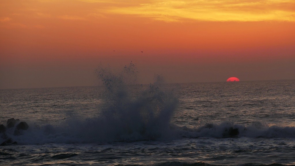 P1150803　@日立市