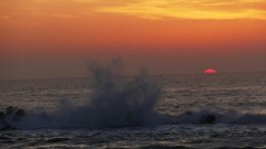 P1150803　@日立市