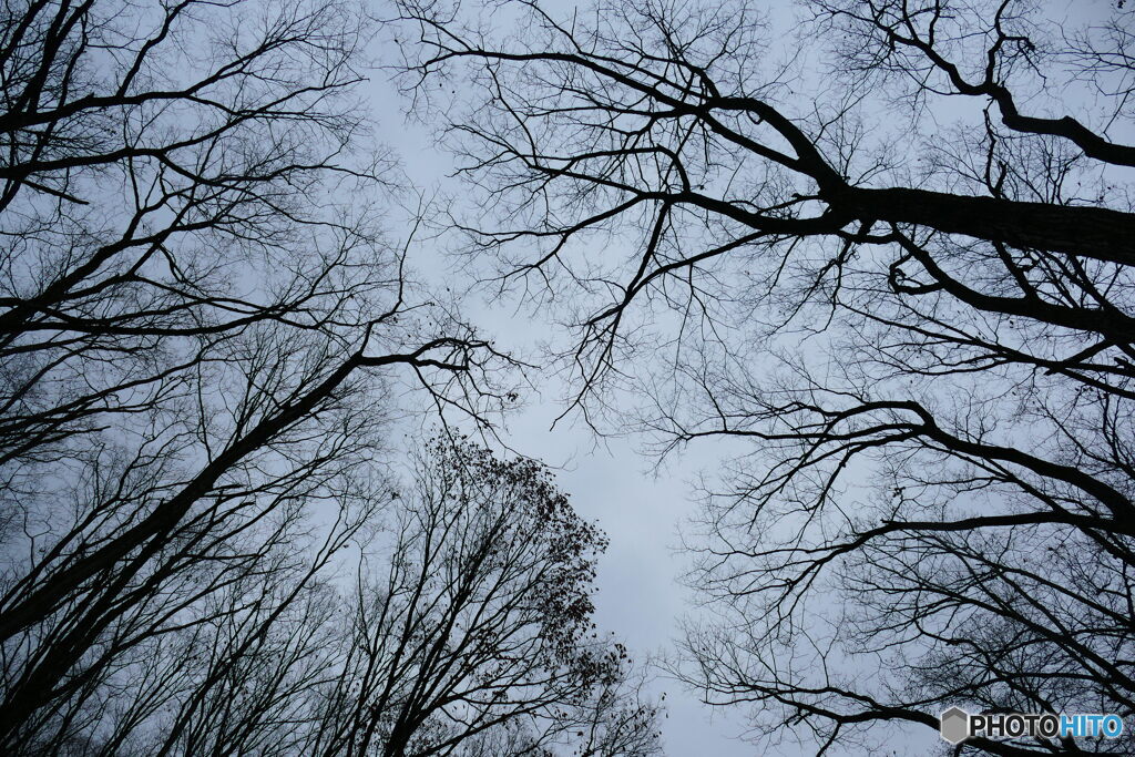 落ちきってるね