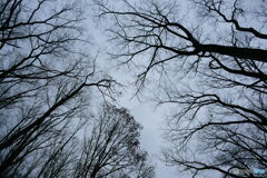 落ちきってるね