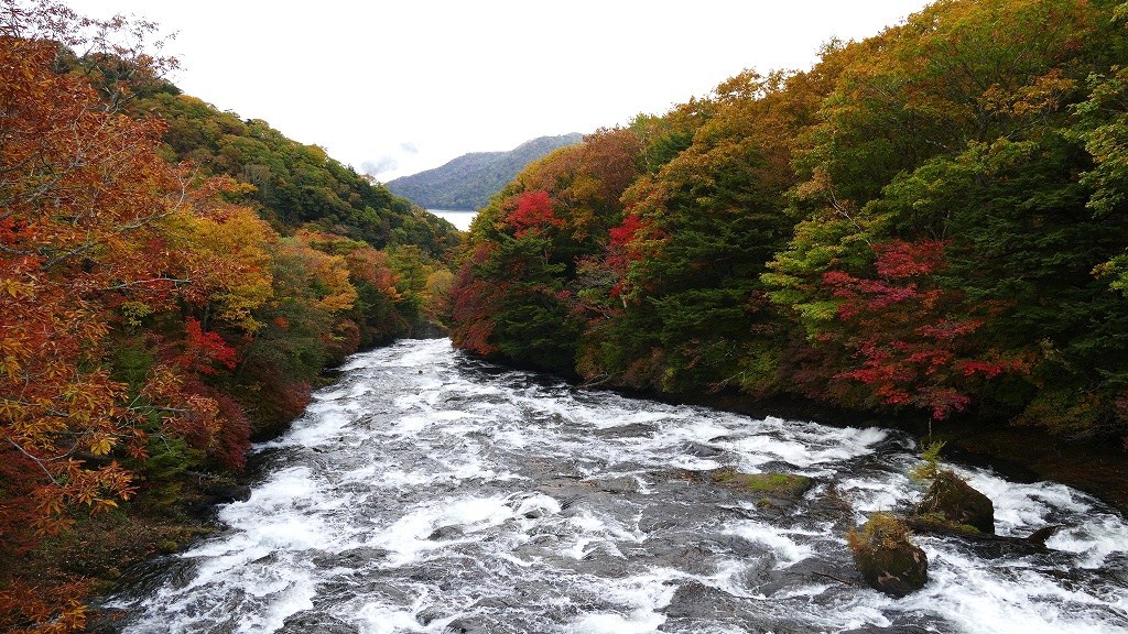 P1150020　奥日光