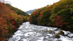 P1150020　奥日光