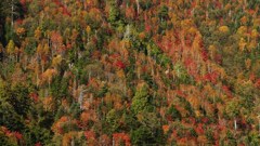 P1150205　奥日光