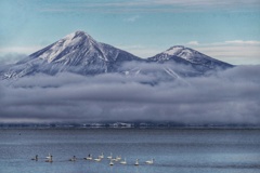 磐梯山と白鳥と４